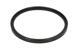 oring-0501322184zf