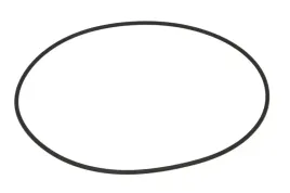 oring-0501323689zf