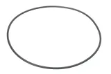 oring-0501323507zf