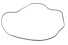 uszczelniacz-skrzyni-biegow-0501323522zf