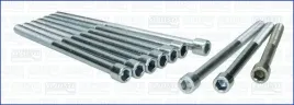 zestaw-srub-glowicy-cylindrow-81006100-ajusa