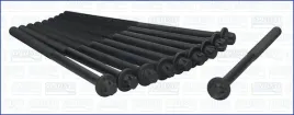 zestaw-srub-glowicy-cylindrow-81006700-ajusa