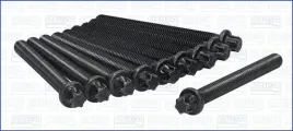zestaw-srub-glowicy-cylindrow-81008600-ajusa