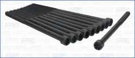 zestaw-srub-glowicy-cylindrow-81020300-ajusa