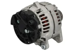 alternator-063731974010-magneti