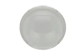 szklo-reflektora-swiatel-przednich-5410-43-1330106p