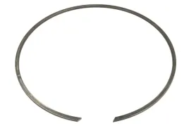 pierscien-zabezpieczajacy-0630513111zf