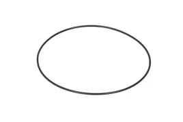 oring-skrzyni-biegow-0634303783zf