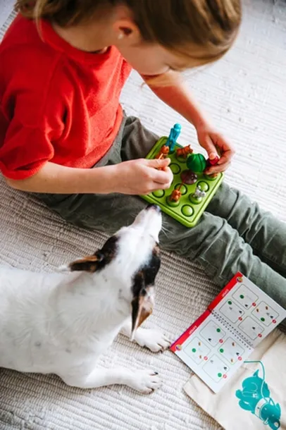 smartgames-walk-the-dog