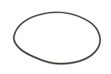 oring-0634313250zf