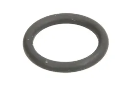 oring-skrzyni-biegow-0634313328zf