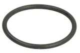 oring-0634313395zf