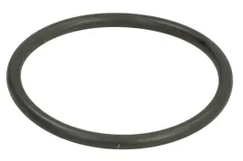 oring-0634313395zf