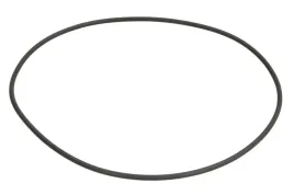 oring-skrzyni-biegow-0634313054zf