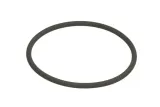 oring-0634313029zf
