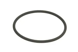 oring-0634313029zf