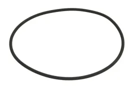 oring-skrzyni-biegow-0634313378zf