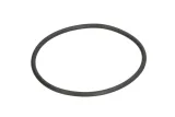 oring-0634313574zf