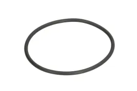oring-0634313574zf