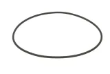 oring-0634316115zf