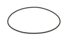 oring-0634316115zf