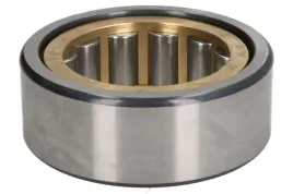 lozysko-mech-skrzyni-biegow-0635450098zf