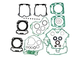 athena-komplet-uszczelek-can-am-outlander-1000-efi-xt-12-15-800-efi-xt-l