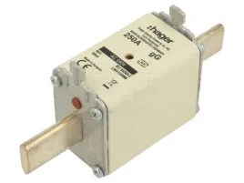 bezpiecznik-topikowy-250a-690vac-gg-przemyslowy-nh1
