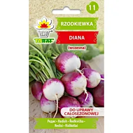 rzodkiewka-diana-5g