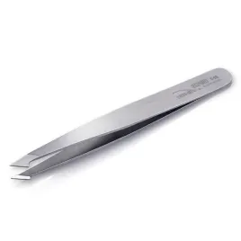 nghia-export-peseta-t-03