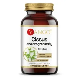 yango-cissus-czworograniasty-ekstrakt-10-1-90-kaps