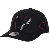 chicago-bulls