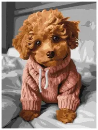 malowanie-po-numerach-magiczny-maltipoo-30x40cm