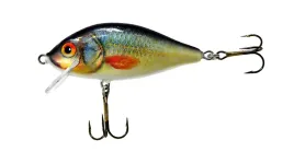 wobler-jaxon-holo-select-karas-6-f-uk