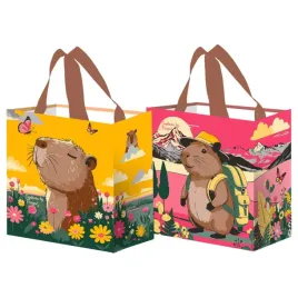 torba-pp-25x17x17cm-kapibara-zolto-rozowa-10-litrow-fraspo