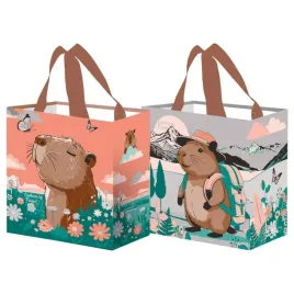 torba-pp-25x15x27cm-kapibara-lososiowo-szara-10-litrow-fraspo