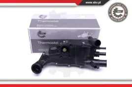 termostat-kpl-z-obudowa-20skv117-skv
