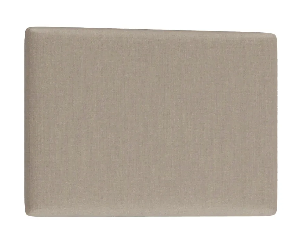 panel-scienny-clif