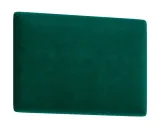 panel-scienny-clif