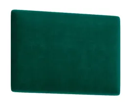 panel-scienny-clif