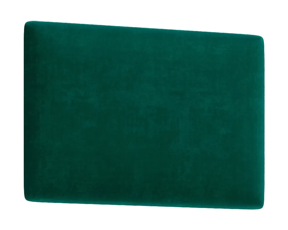 panel-scienny-clif
