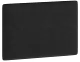 panel-scienny-clif