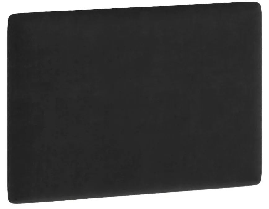 panel-scienny-clif