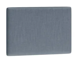 panel-scienny-clif