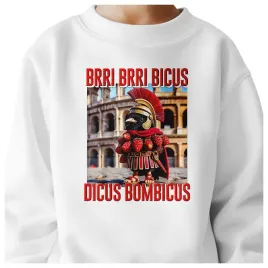 bluza-dziecieca-brri-bicus-dicus-bombicus-146-152-dla-chlopca-dziewczynki