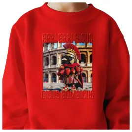 bluza-dziecieca-brri-bicus-dicus-bombicus-110-116-dla-chlopca-dziewczynki