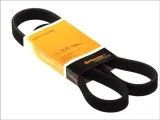 pasek-wieloklinowy-6dpk1817-con
