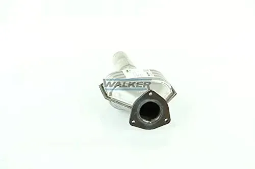 walker-20765-katalizator