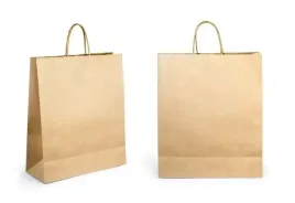 torba-papierowa-z-raczka-210x110x270-25-szt
