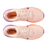 pegasus-42-marka-nike